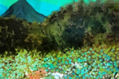 campo-azul-e1527994297427