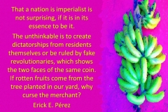 frutaa-e1528765537364