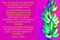 frutab-e1528765549357