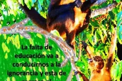 momolitico1-e1528764733856