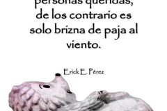 puercoespin1-e1528764396193