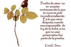 pde-a1-e1528688830443
