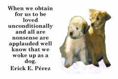 perro-querido-2-e1528688731967
