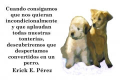 perro-querido1-e1528688747328