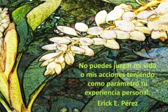vida-prsonal-1-e1528688302749