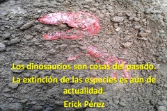 dinos1