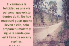 el-camino1a