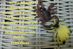 critica1