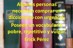 dicionario1