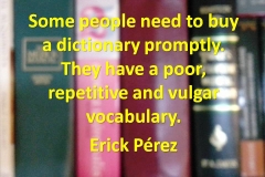 dicionario2
