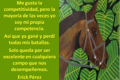 competencia1