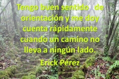 camino5a