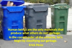 basura2
