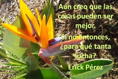 lucha1