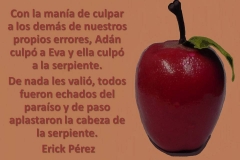 manzana1a