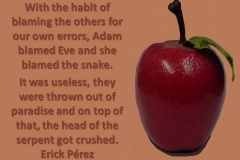 manzana1b