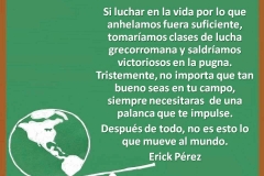 la-palanca7