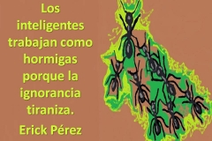 hormigas1a