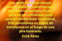 fuego1a