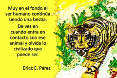 tigre5-e1528950437650