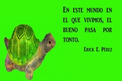 totugi1-e1528950502577