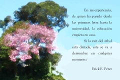 tree5-e1528950355510