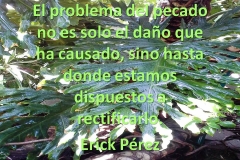 rectificar1