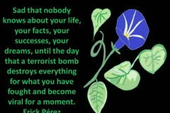 morning-glory2