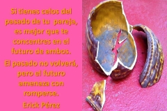 pasado1
